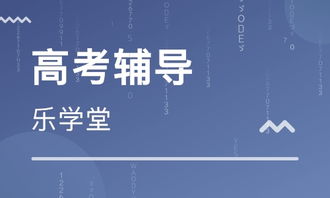 天津樂學(xué)堂教育信息咨詢 獲大眾網(wǎng)推薦品牌，助力教育咨詢服務(wù)升級(jí)