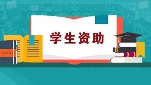 沒錢上大學(xué)？超全資助政策匯總，助你圓夢(mèng)無壓力